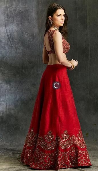 Astha Narang Red Raw Silk Lehenga - The Grand Trunk