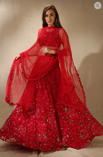 Astha Narang Carmine Pink Threadwork and Sequins Floral Work Lehenga - The Grand Trunk