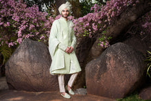 Load image into Gallery viewer, Mint Green Rawsilk with Self Threadwork Embroidery and Pearl Highlights - The Grand Trunk
